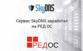 Сервис SkyDNS заработал на РЕД ОС