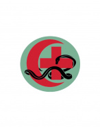 МАИС ЭРМЕДИС совместима с СУБД Ред База Данных