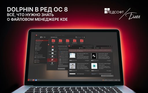 Dolphin в РЕД ОС 8: всё, что нужно знать о файловом менеджере KDE